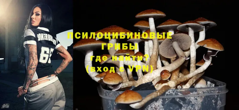 Псилоцибиновые грибы Magic Shrooms  darknet наркотические препараты  Белозерск  хочу  